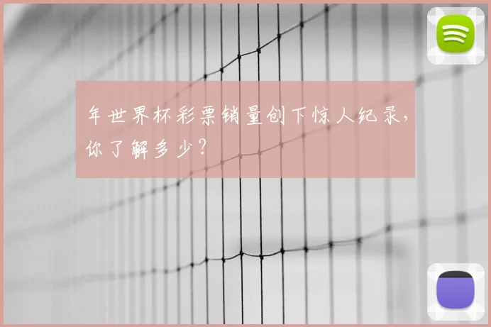 年世界杯彩票销量创下惊人纪录，你了解多少？