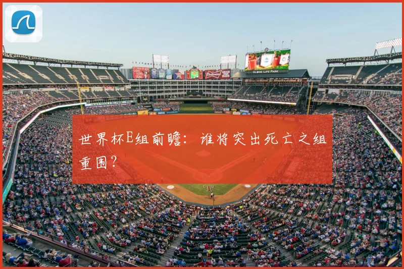 世界杯E组前瞻:谁将突出死亡之组重围?