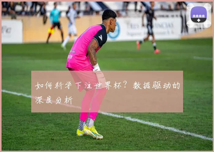 如何科学下注世界杯?数据驱动的深度分析
