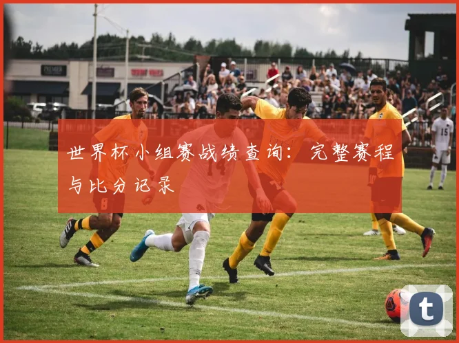 世界杯小组赛战绩查询：完整赛程与比分记录